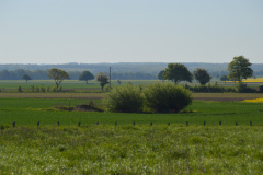 image006